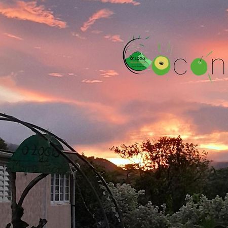 Apartamento O Logis Du Morne Jacob "Coco", Le Morne-Rouge Martinique Exterior foto