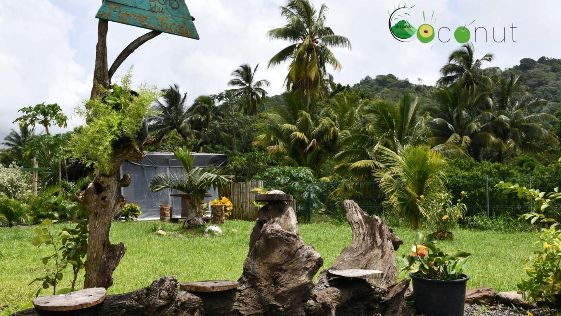 Apartamento O Logis Du Morne Jacob "Coco", Le Morne-Rouge Martinique Exterior foto